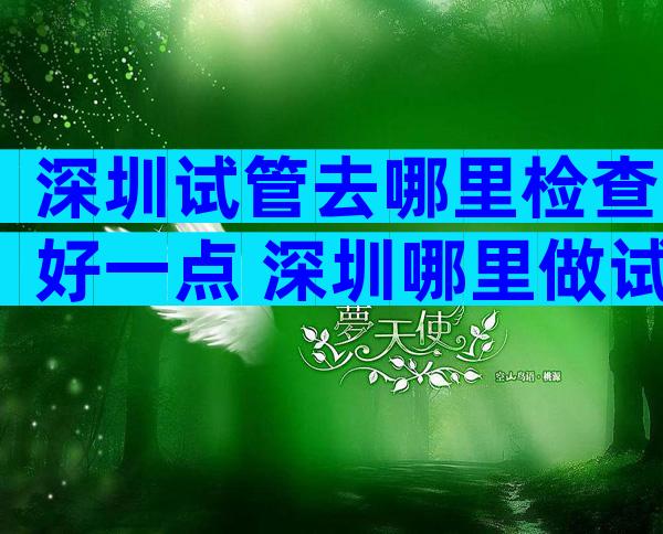深圳试管去哪里检查好一点 深圳哪里做试管成功率比较高
